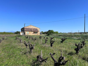 Gîte d'ysée au milieu des vignes
